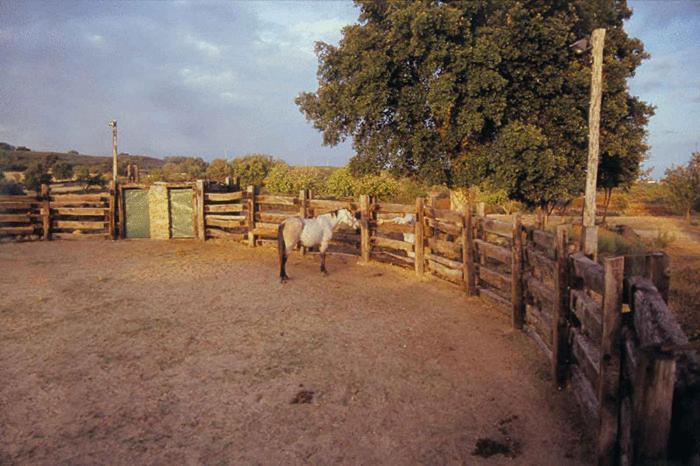 Casa Rural Finca Valvellidos 하라이스 데 라 베라 외부 사진